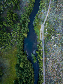 CCTV音乐在线直播：经典旋律与现场演出高清同步放送