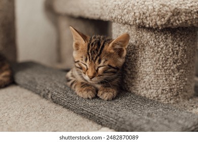 金沙赌场娱乐：探索奢华与刺激的完美结合