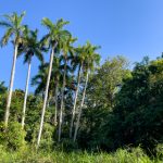 CC体育直播:高清赛事尽在指尖,畅享激情体育盛宴 sx7pcn6c