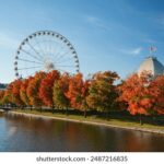 《非诚勿扰》在线直播观看:心动嘉宾浪漫邂逅 owaa8c6bhn